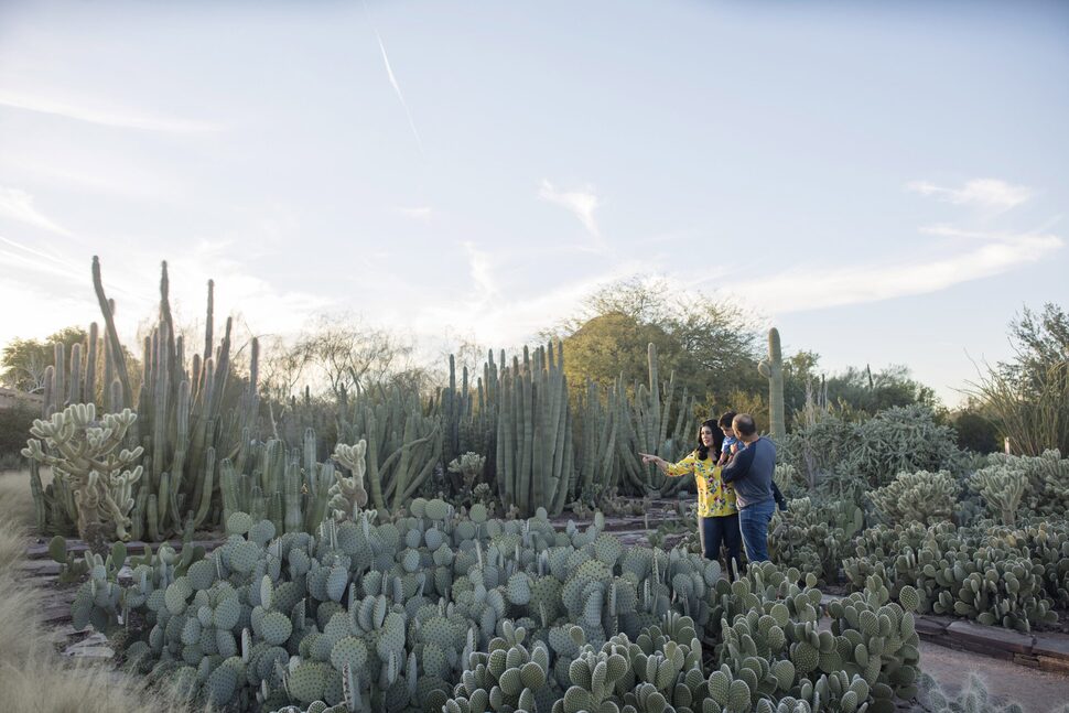 28 Top Things to Do in Arizona in 2024