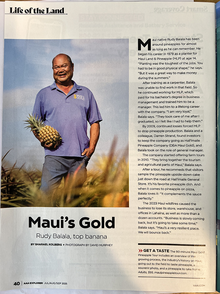Maui’s Gold