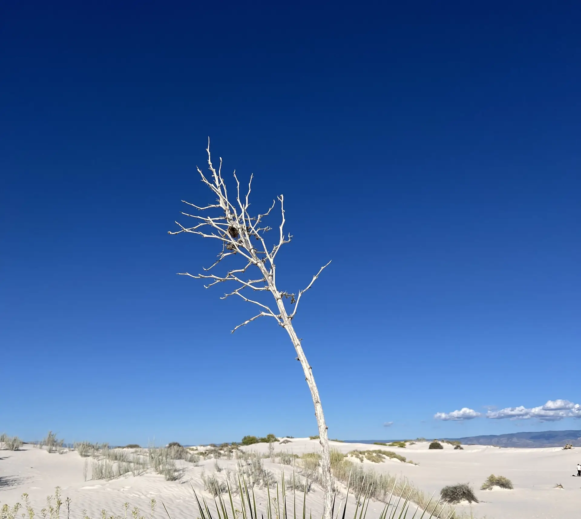 White Sands NP